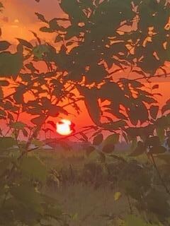 Beautiful sunset -