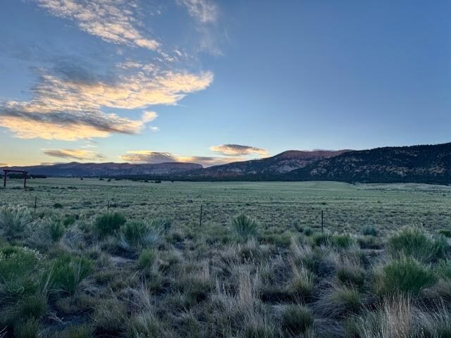 Just before dawn