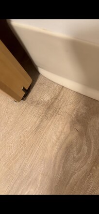 Nasty gob of hair