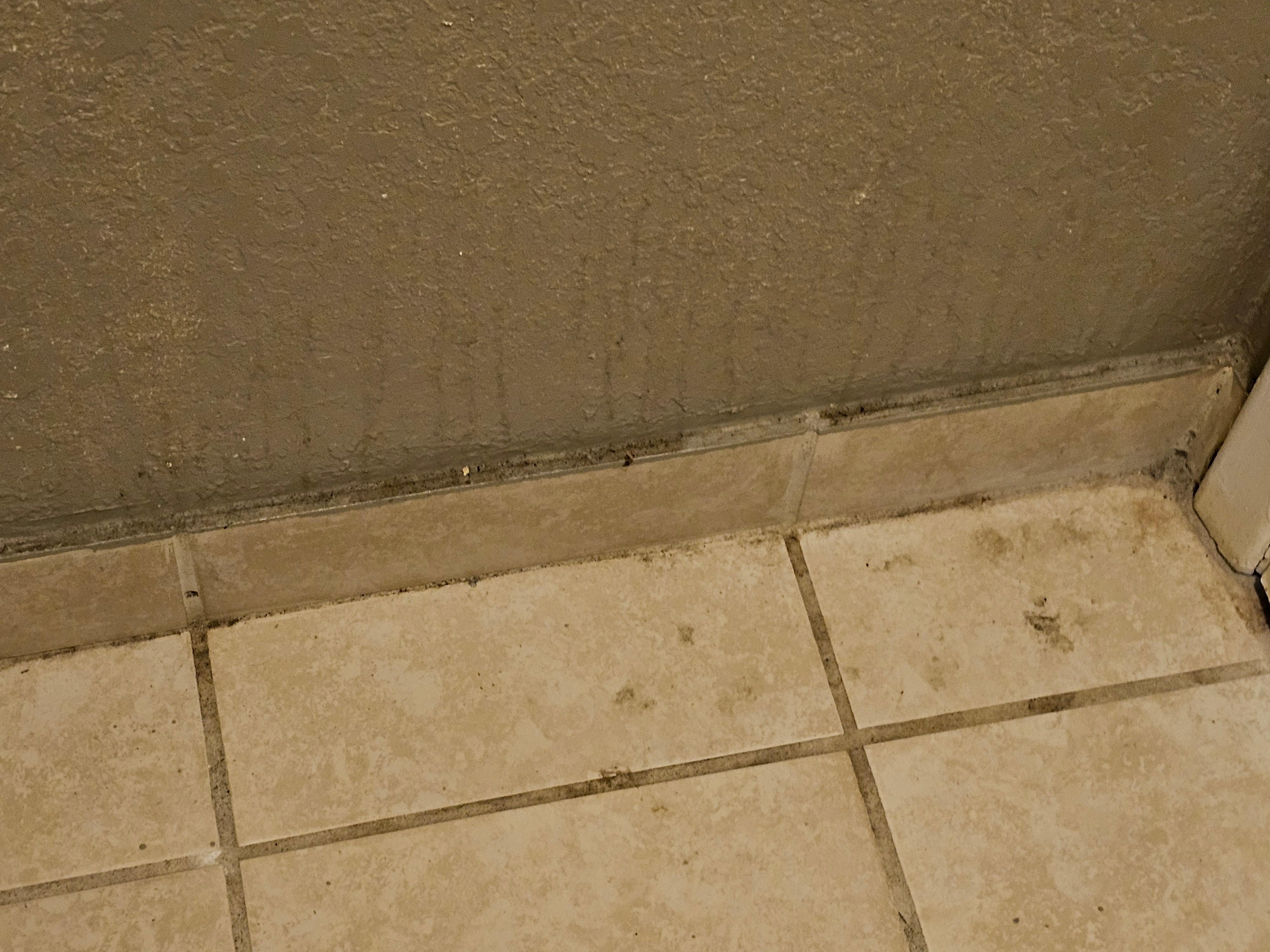 This was the bathroom 🤮