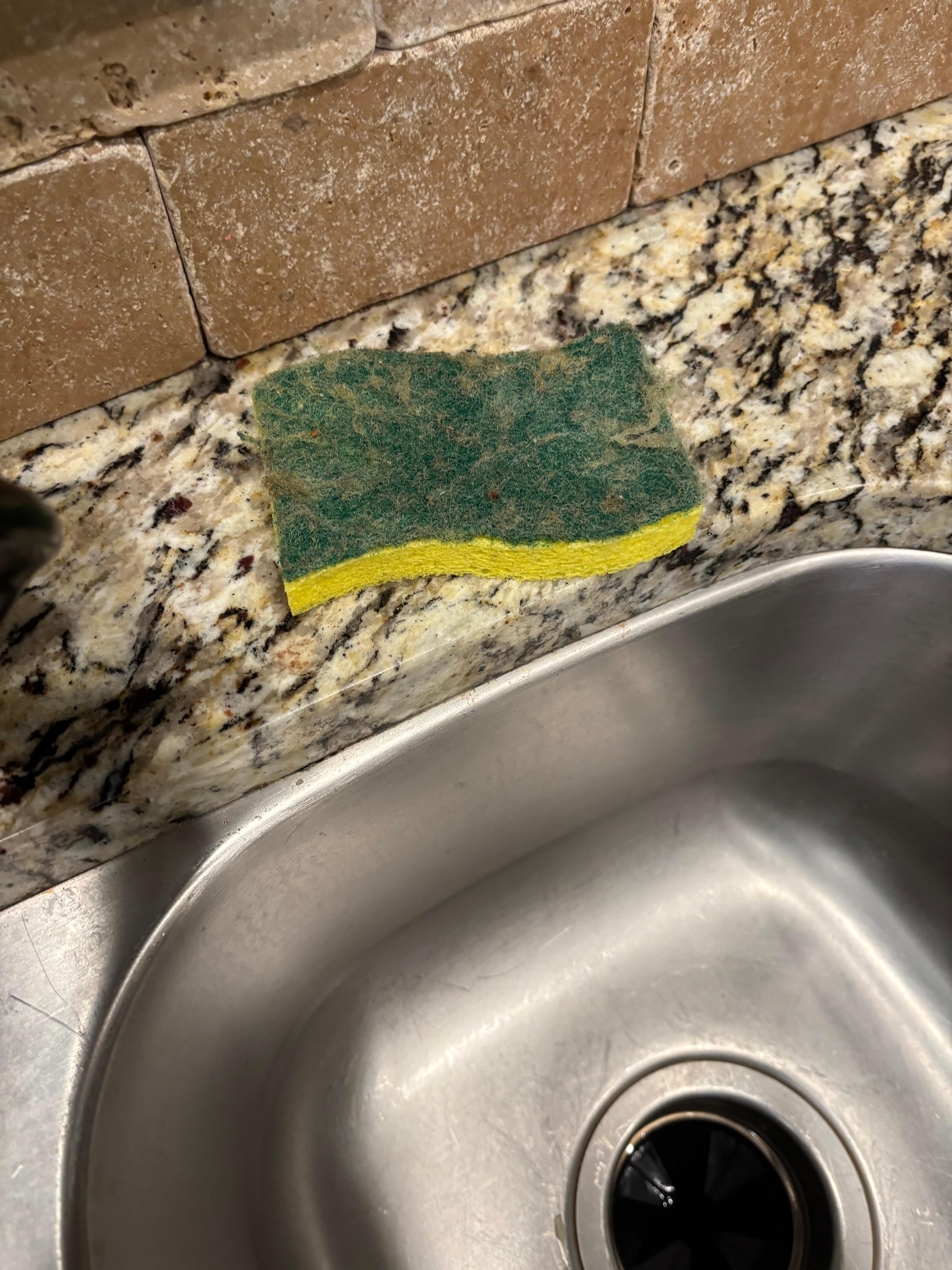Dirty sponge for dishes