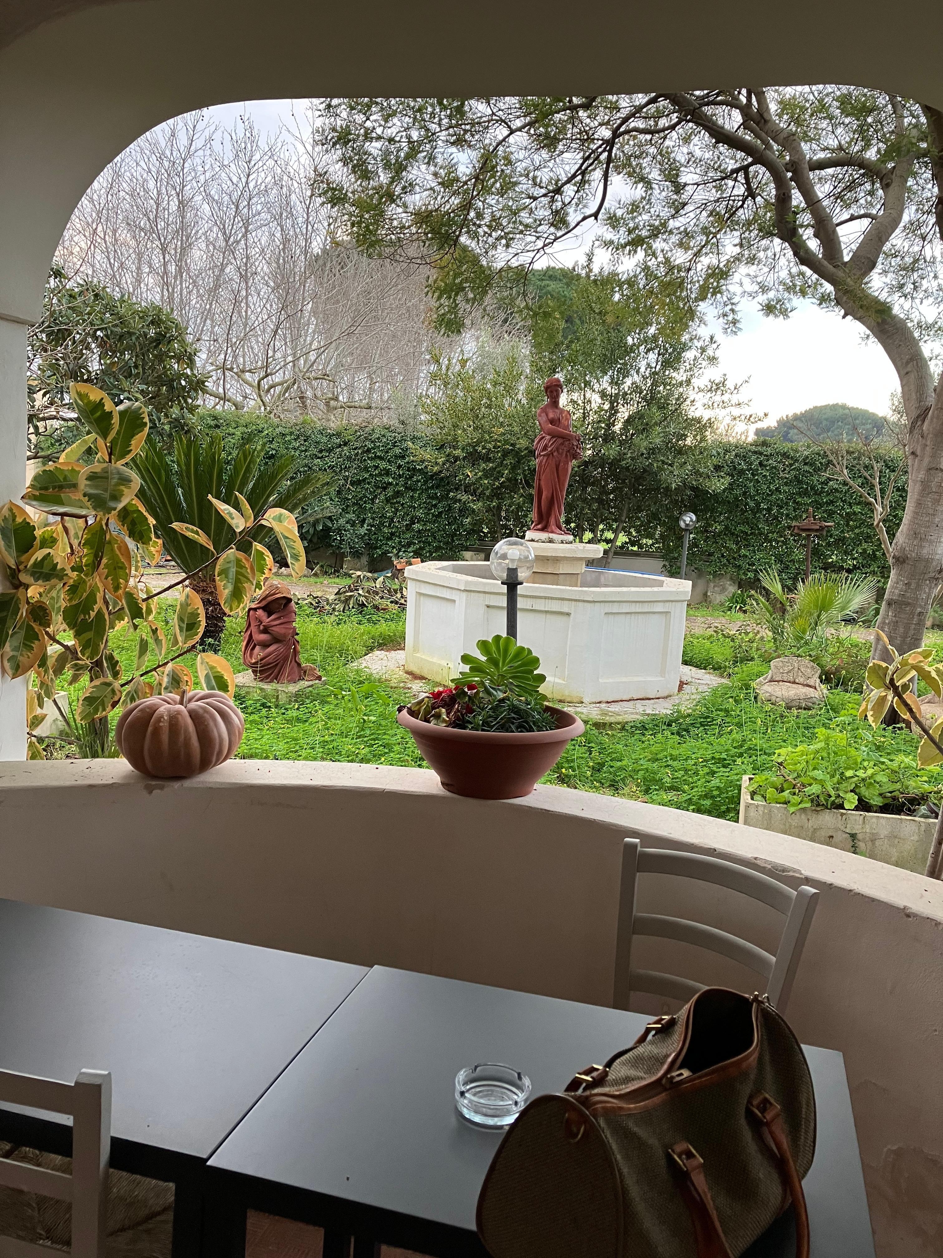 朝曇りだったのに絵のような写真が撮れる