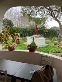 朝曇りだったのに絵のような写真が撮れる