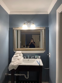 Crooked..small roach in sink