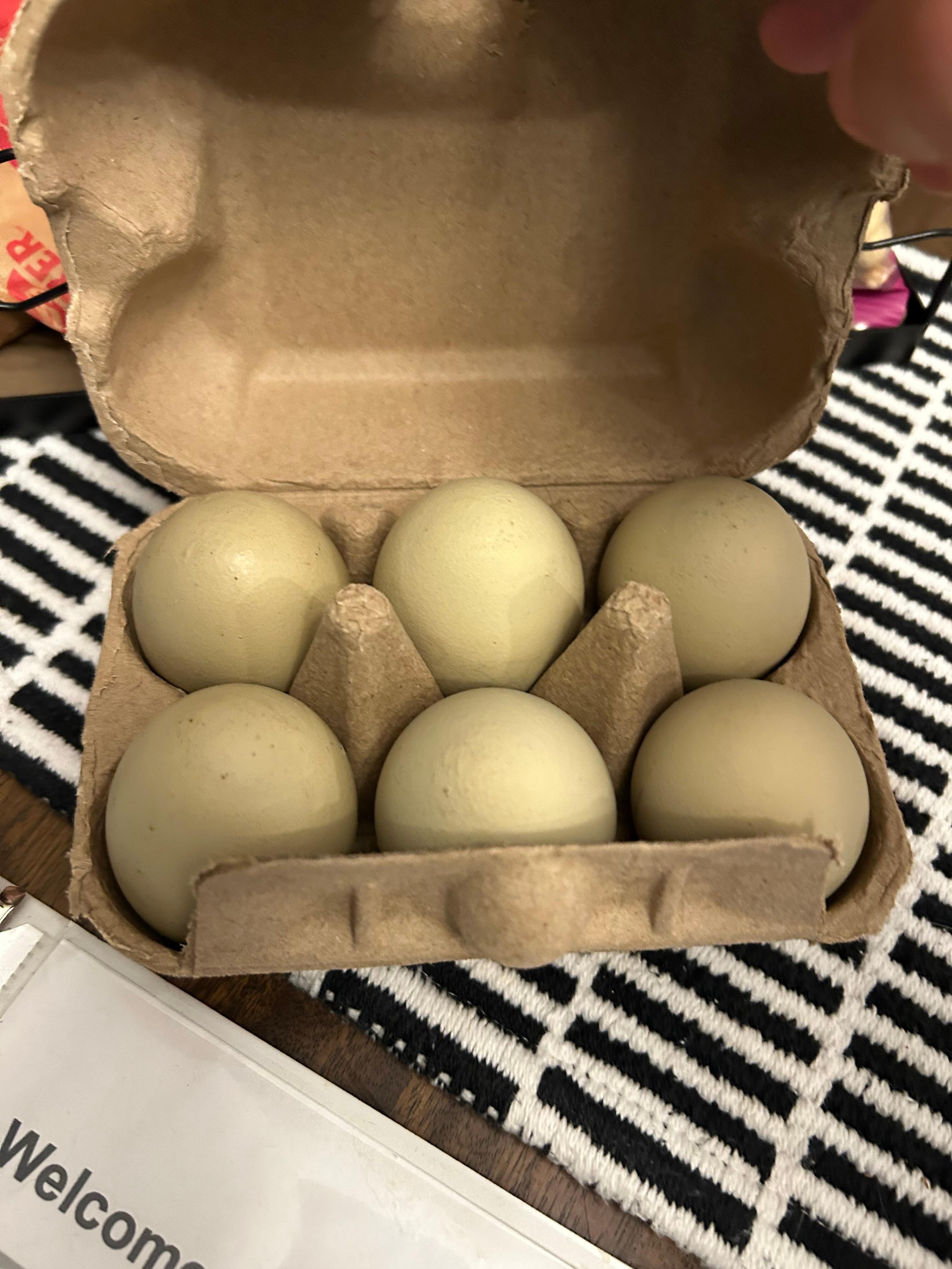 Fabulous fresh eggs! 