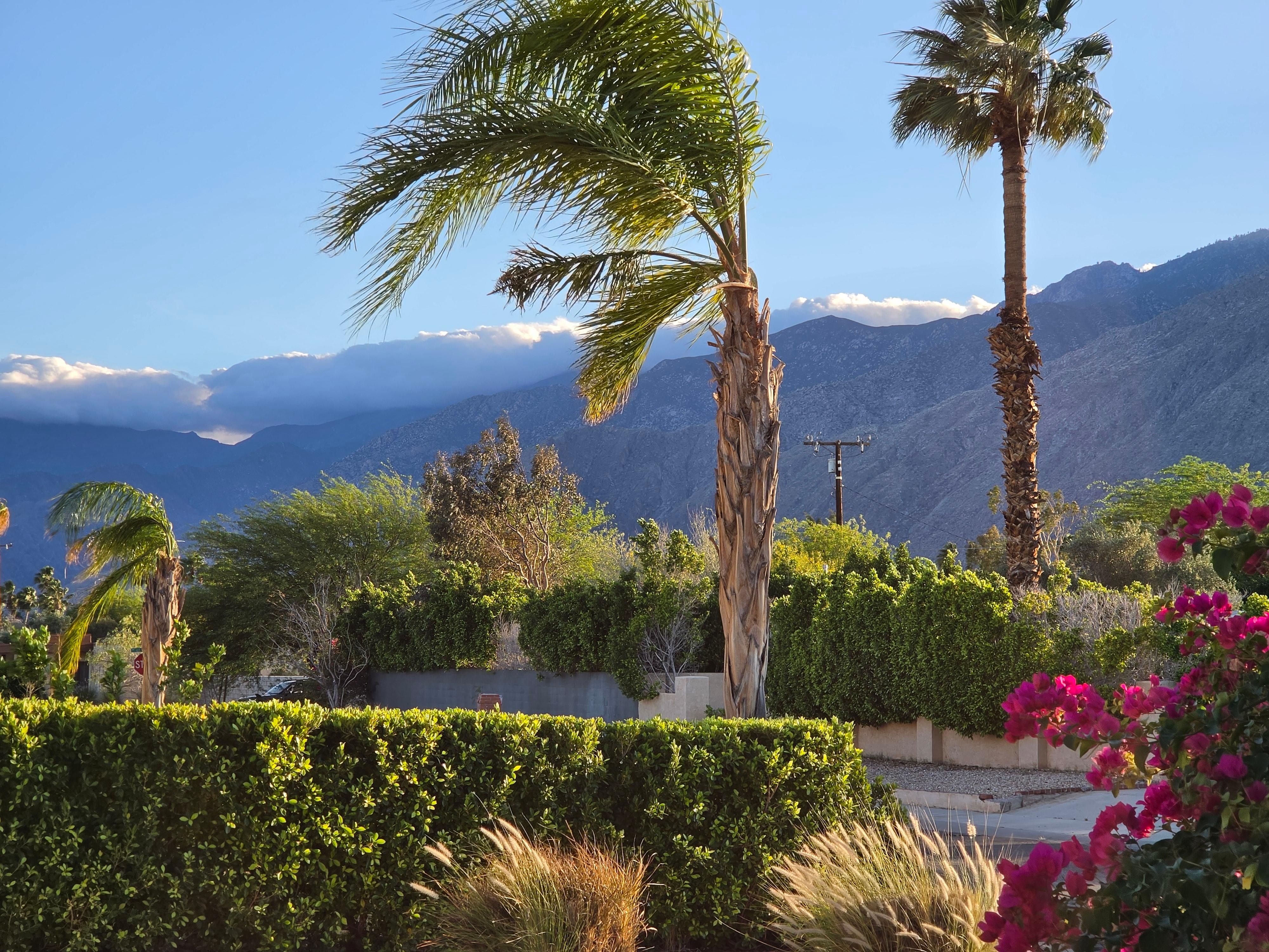 Beautiful view from the home