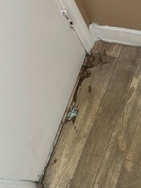 Lifted floor..there was more