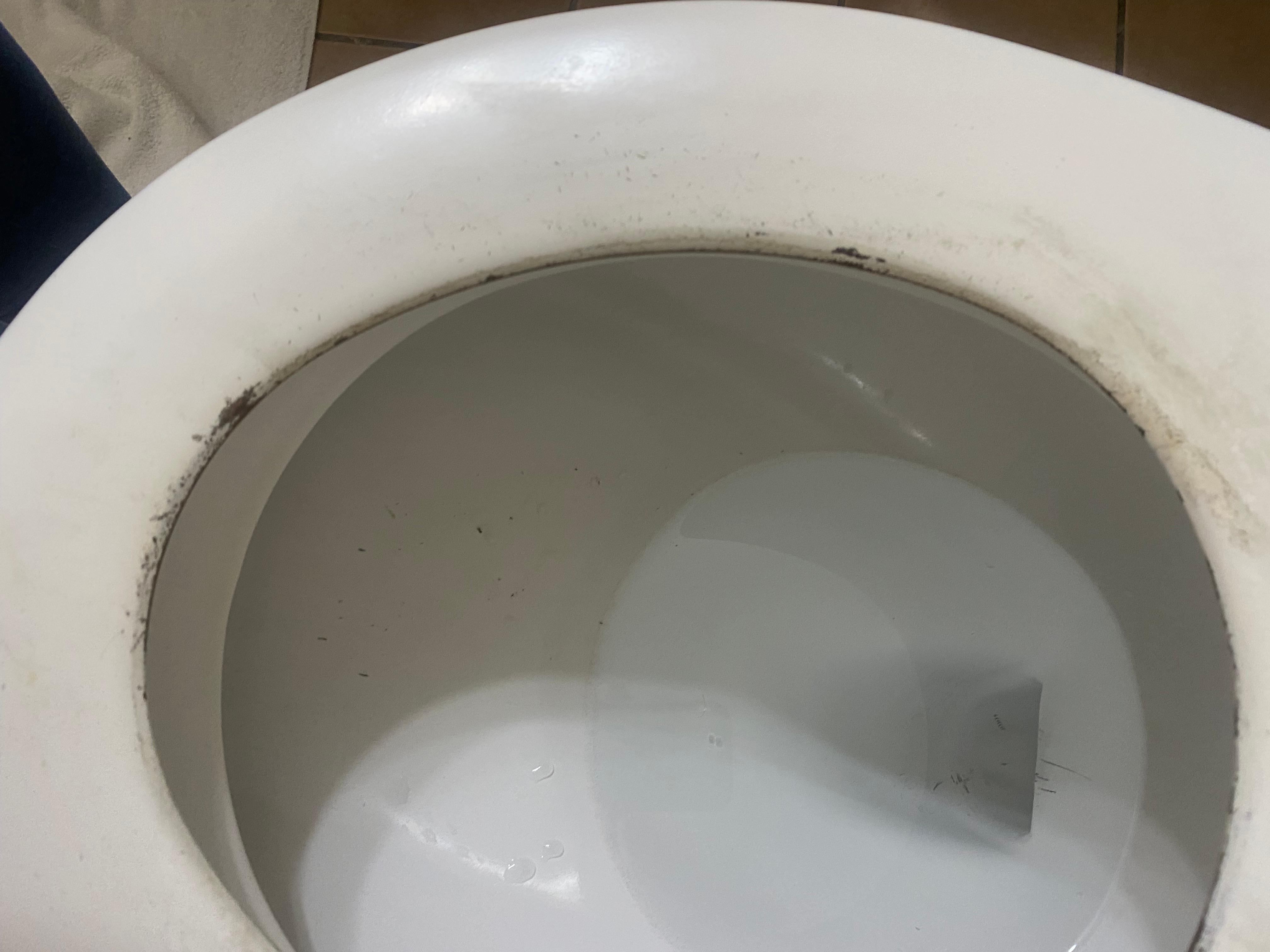 Grey/black on and around toilet seat