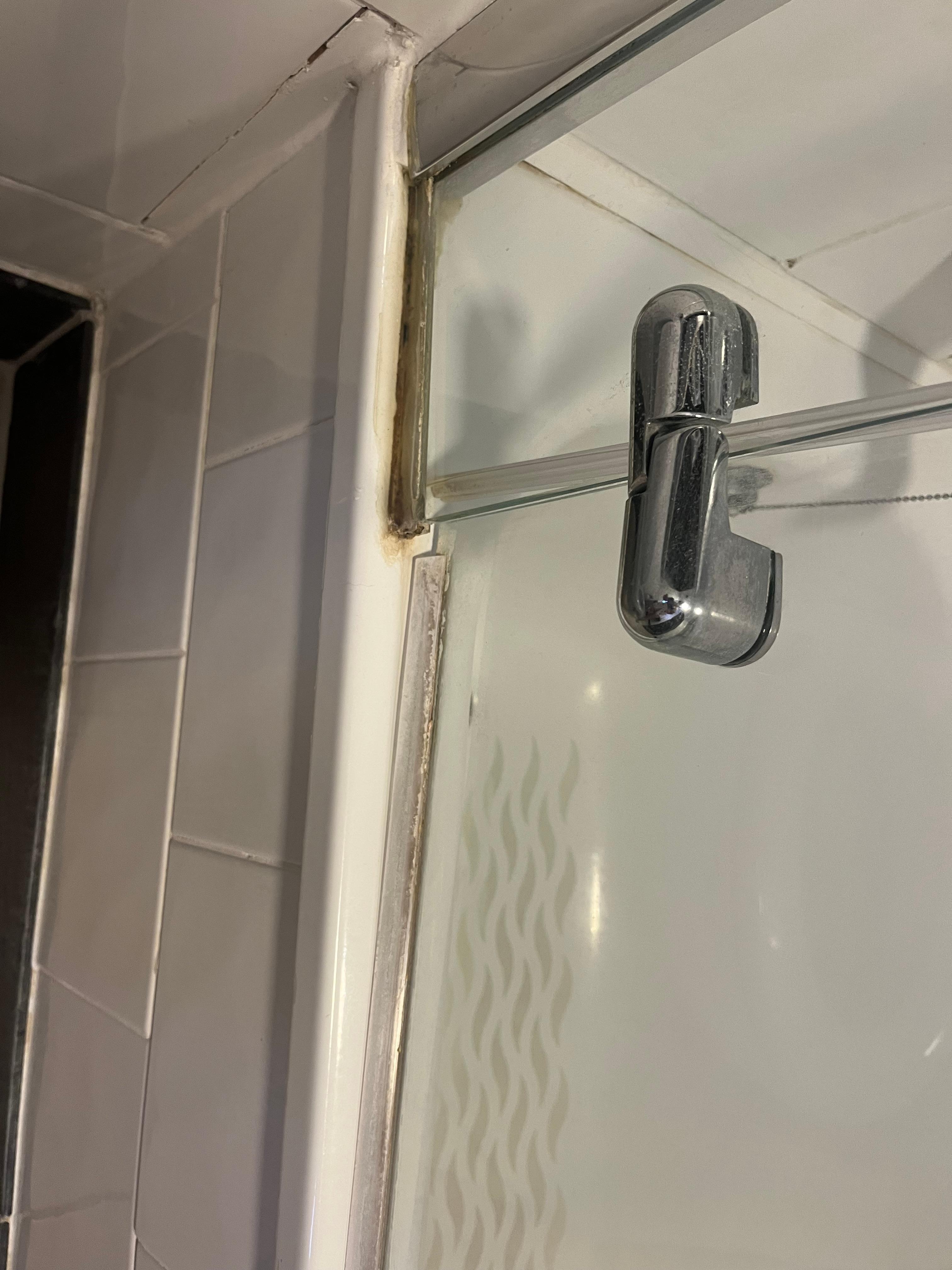 Grubby shower curtain