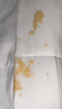 This was on the comforter on one bed.