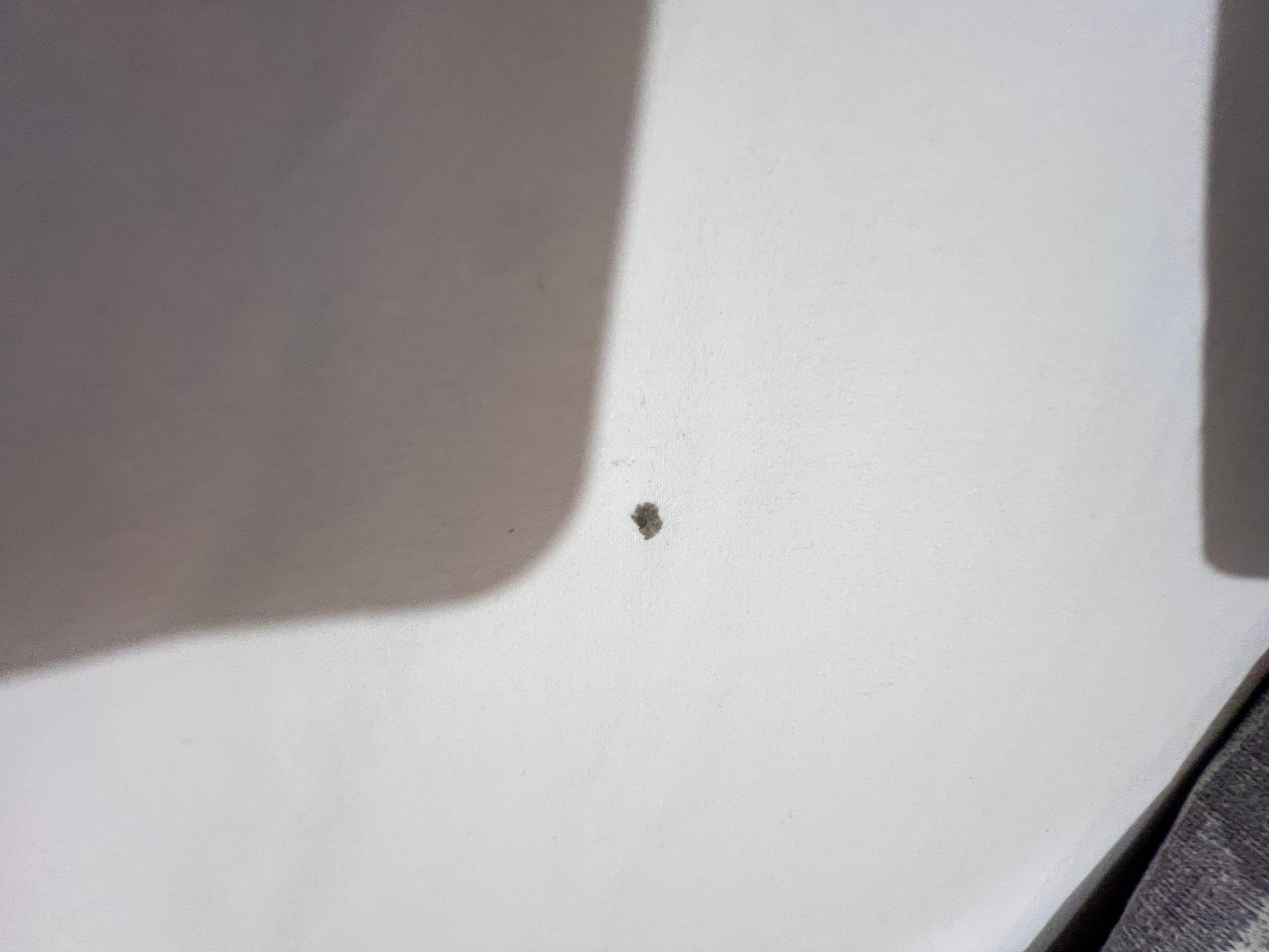 Bed sheets were dirty 