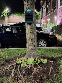 Dog waste bags hanging out under a tree