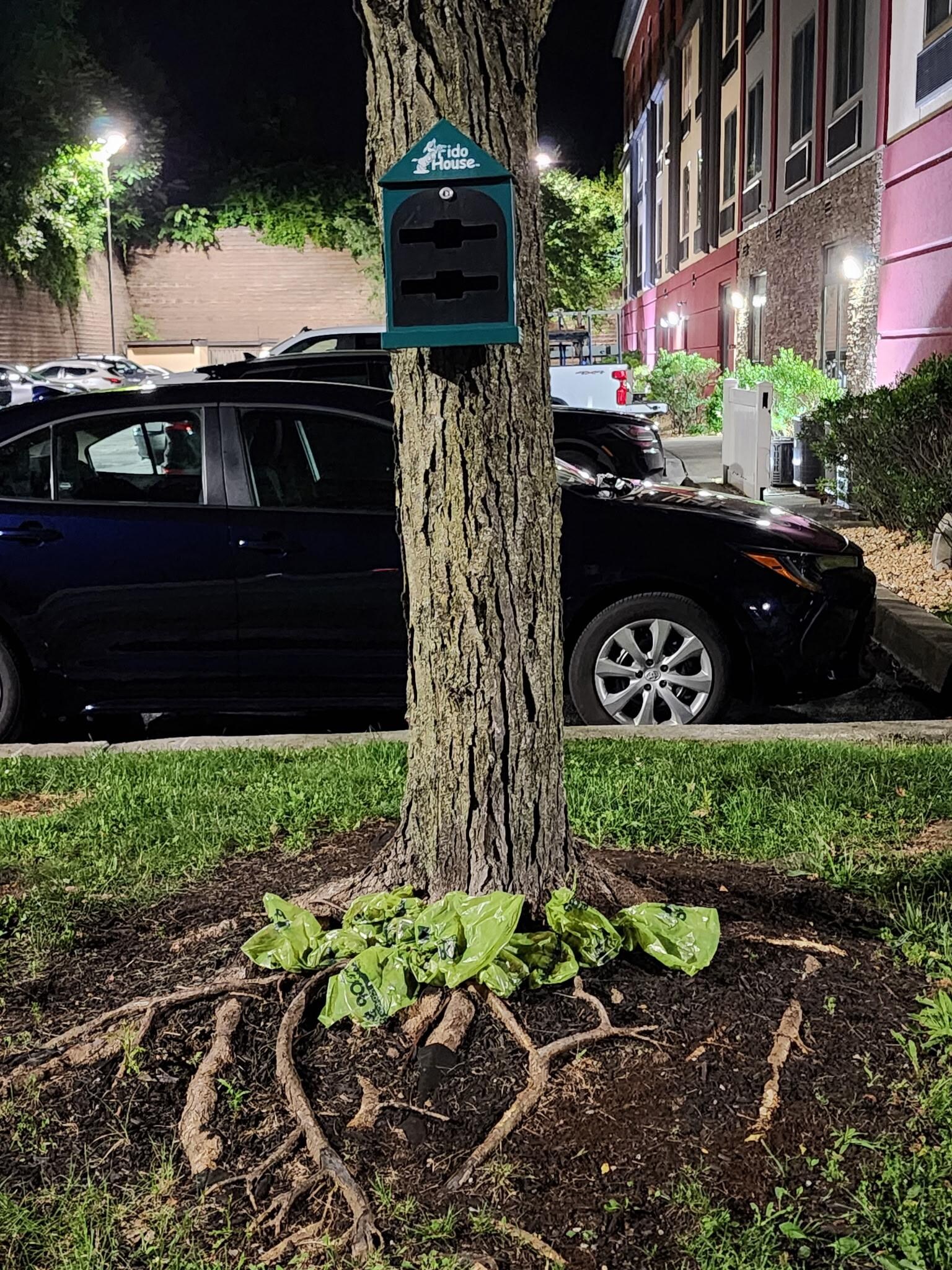Dog waste bags hanging out under a tree