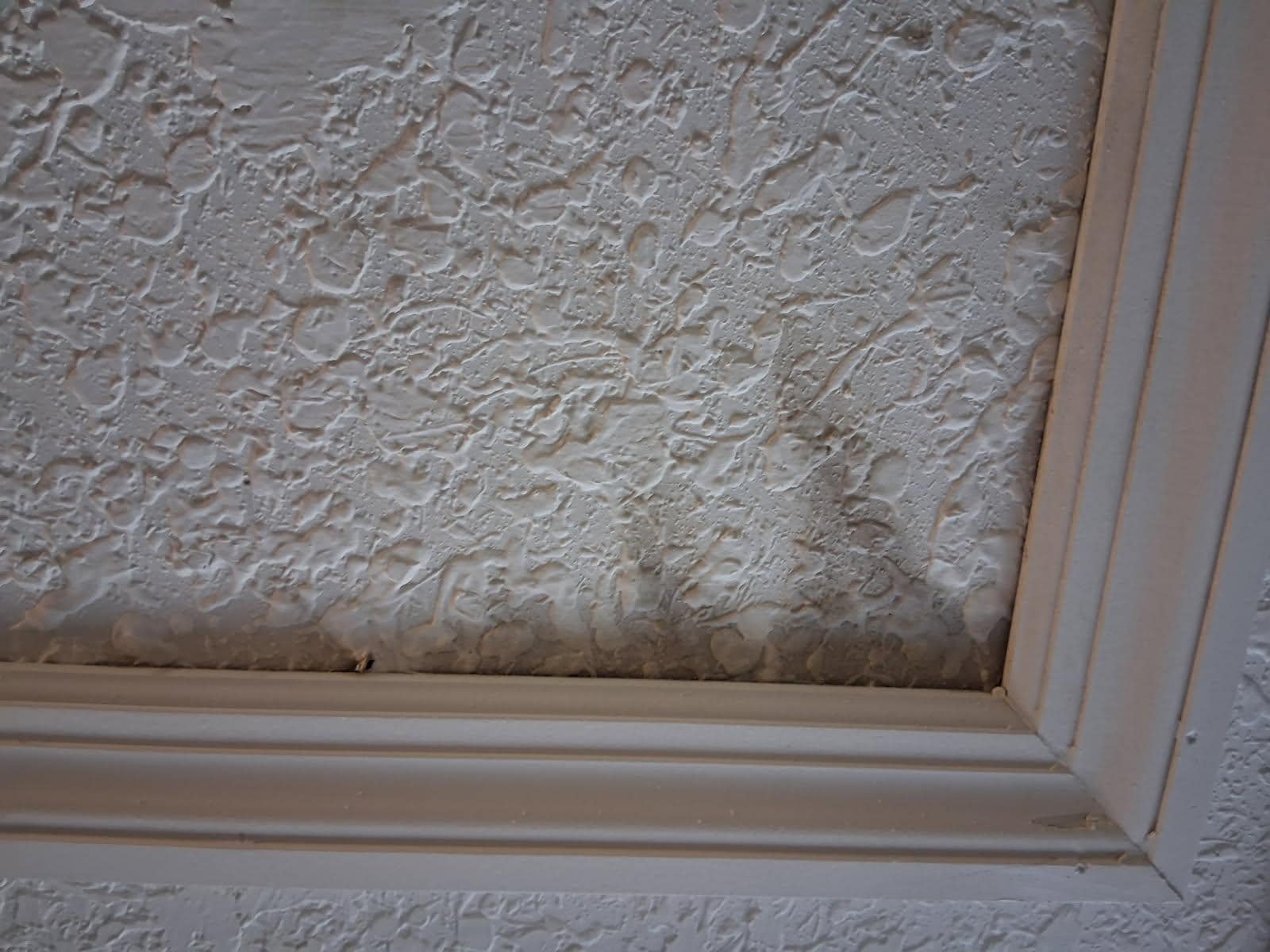 Appears to be mold on the ceiling