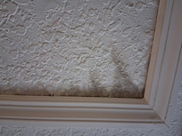 Appears to be mold on the ceiling