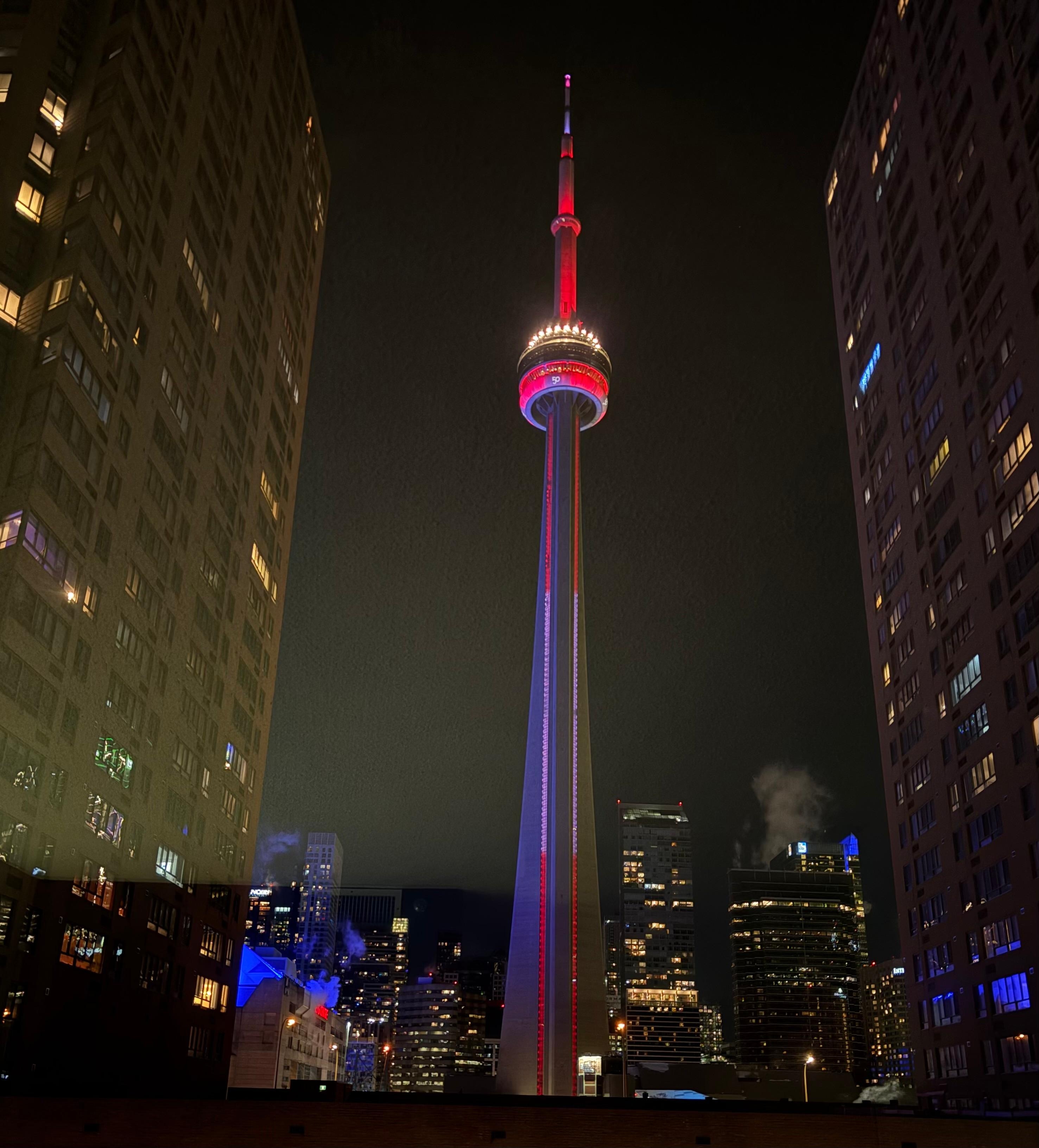 View from the rooms. 