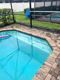 Weeds around pool