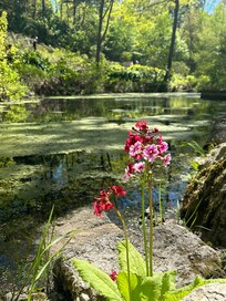 Coastal Maine Botanical Gardens