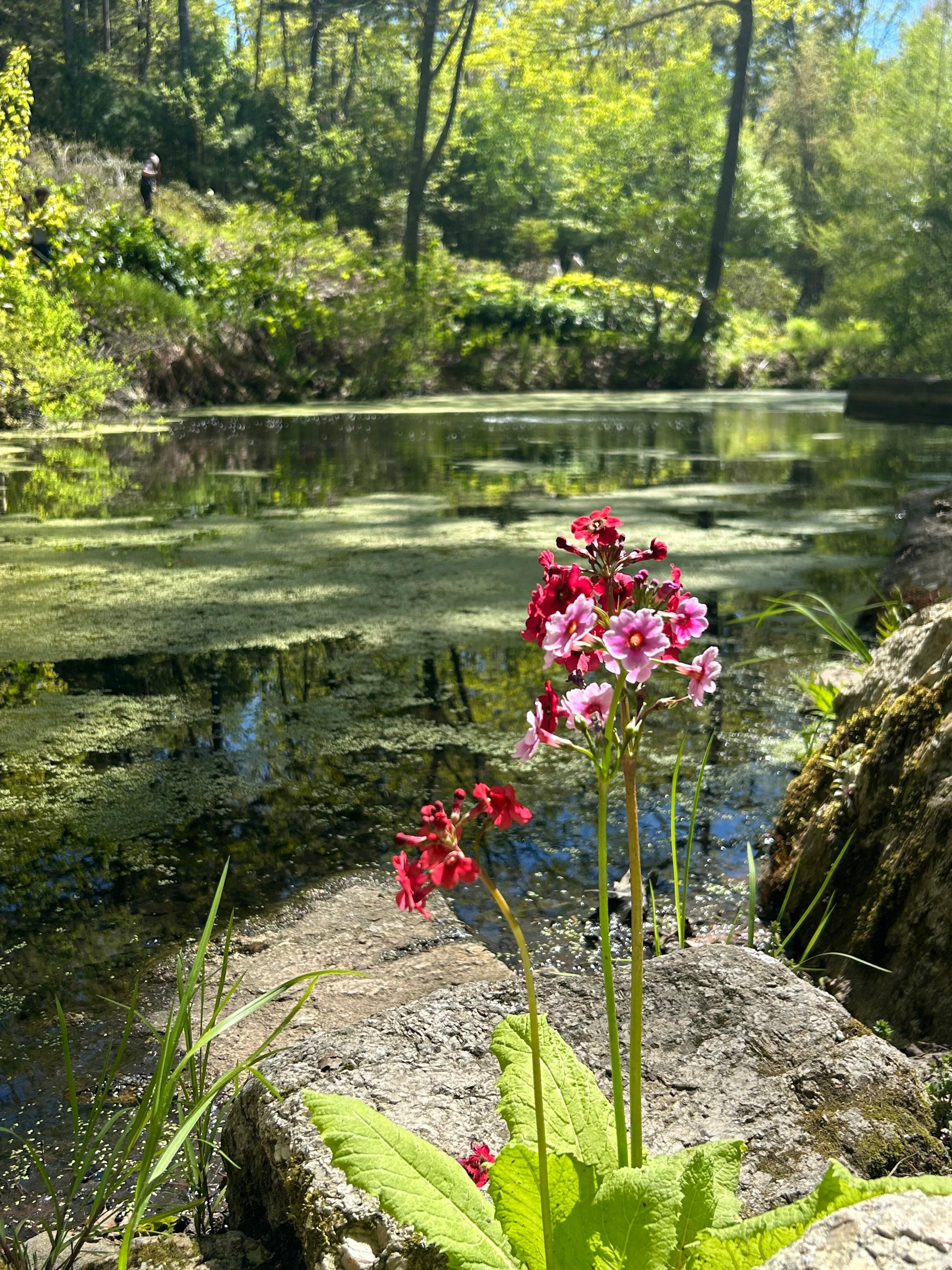 Coastal Maine Botanical Gardens