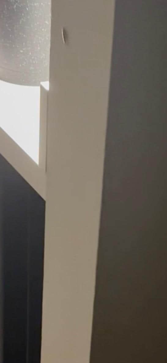 Roach crawling around the microwave, coffee maker, and fridge area.