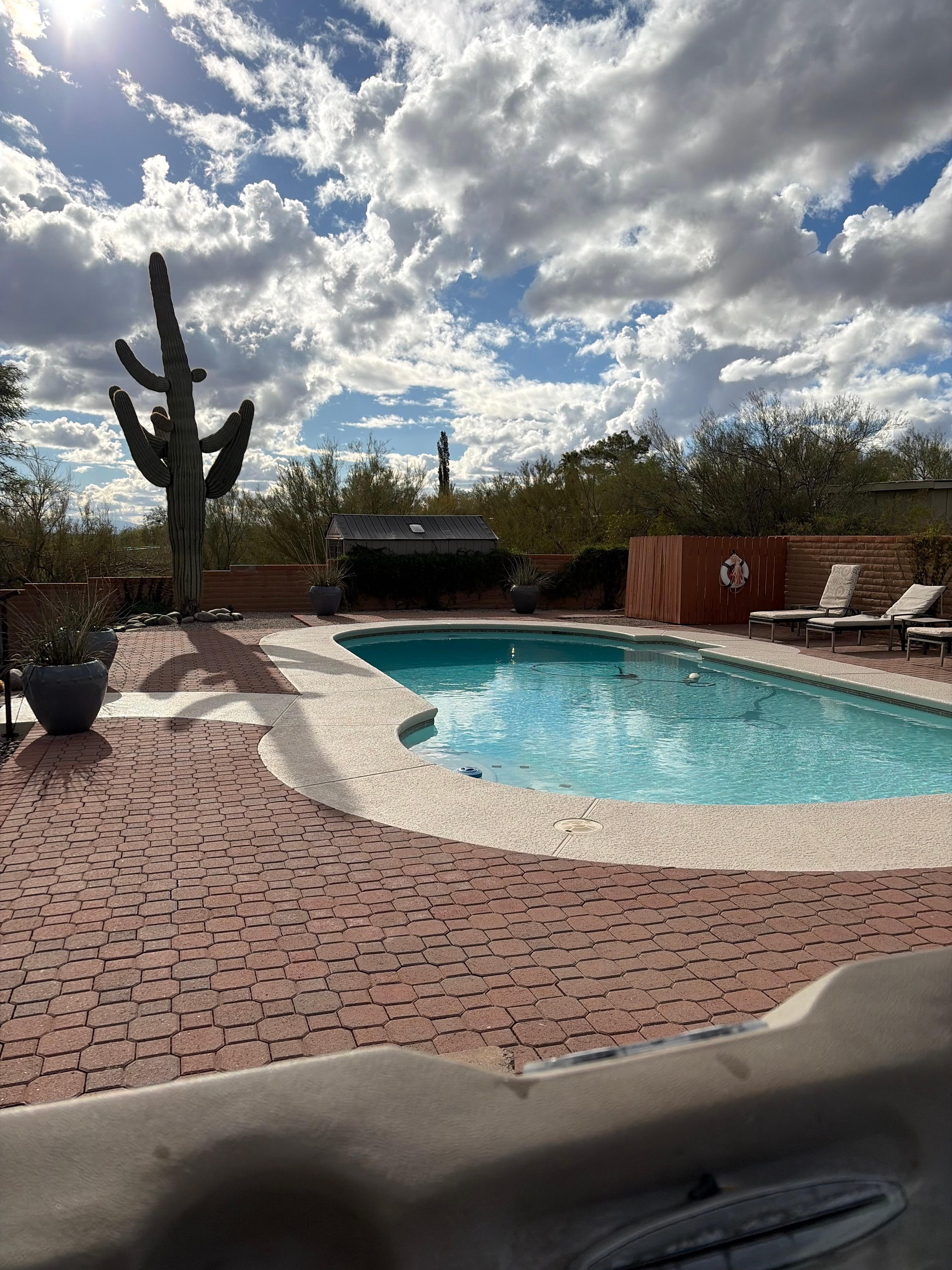 Backyard pool
