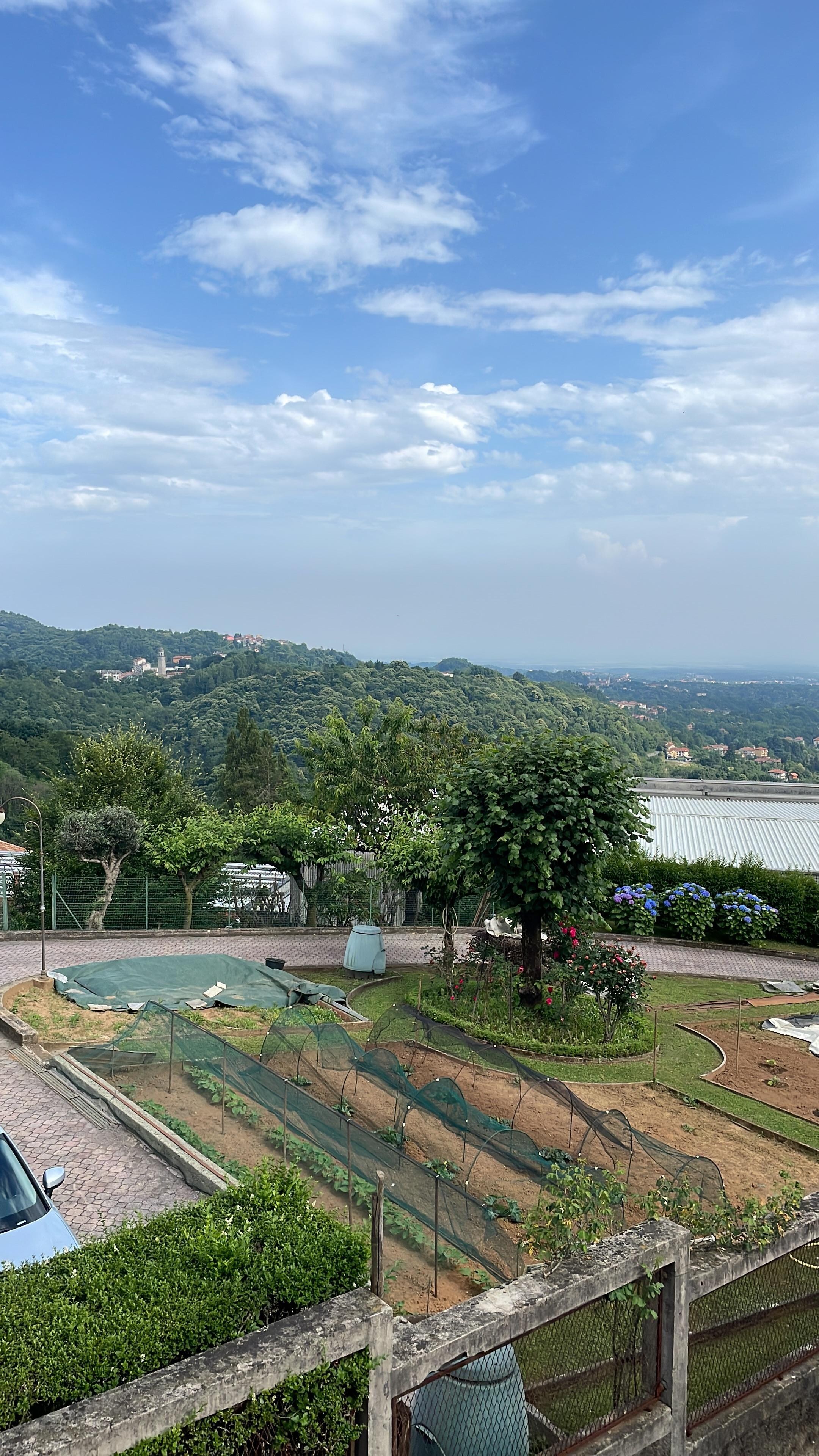 View from the kitchen window.