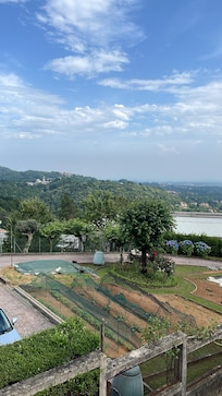 View from the kitchen window.