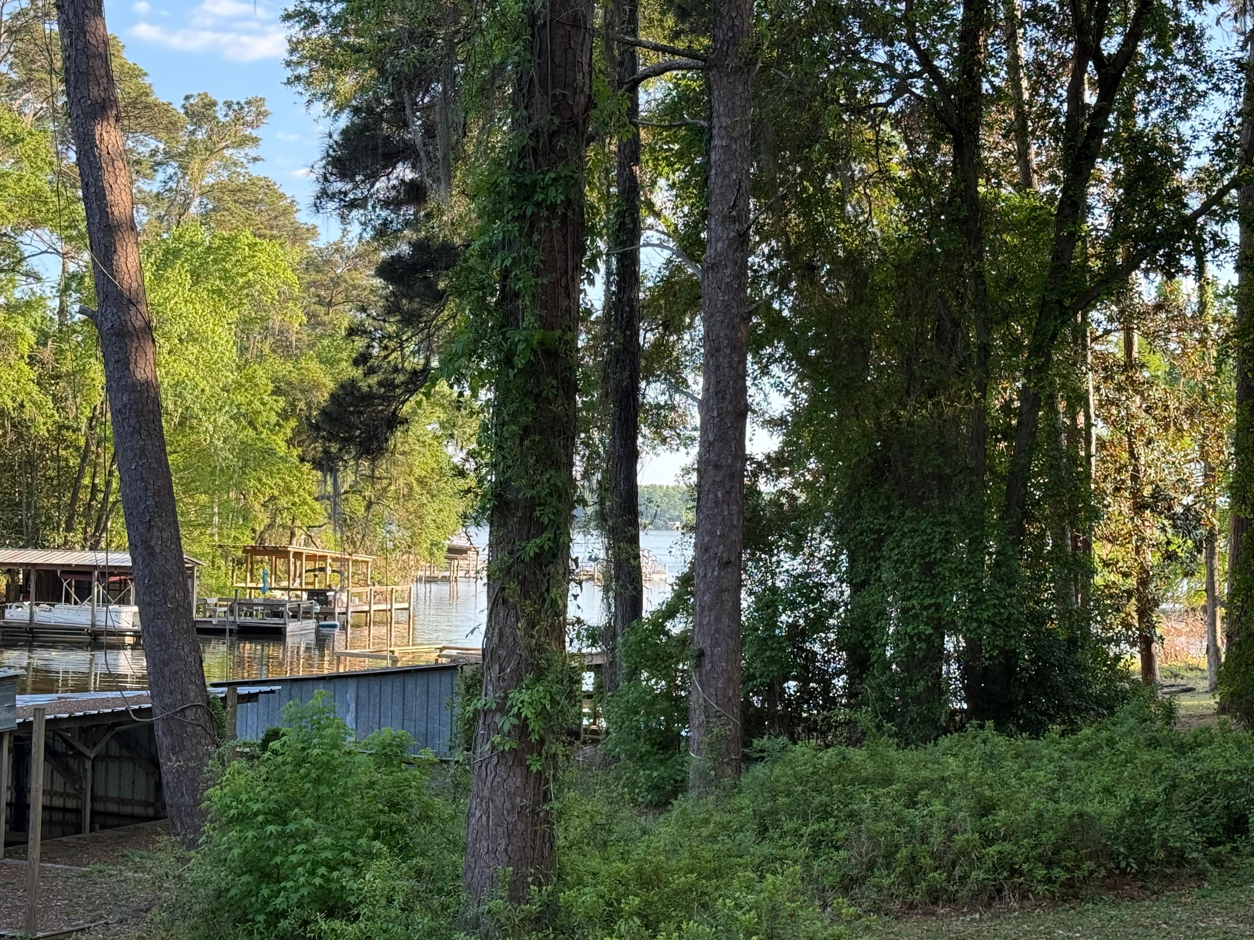 From deck looking toward Lake Talquin. 