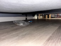 Garbage under the bed