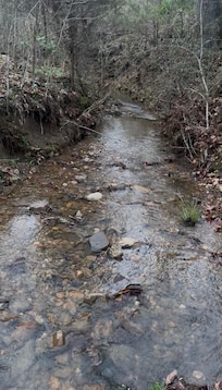 Stream near cabin was great for rock hounding with the kids