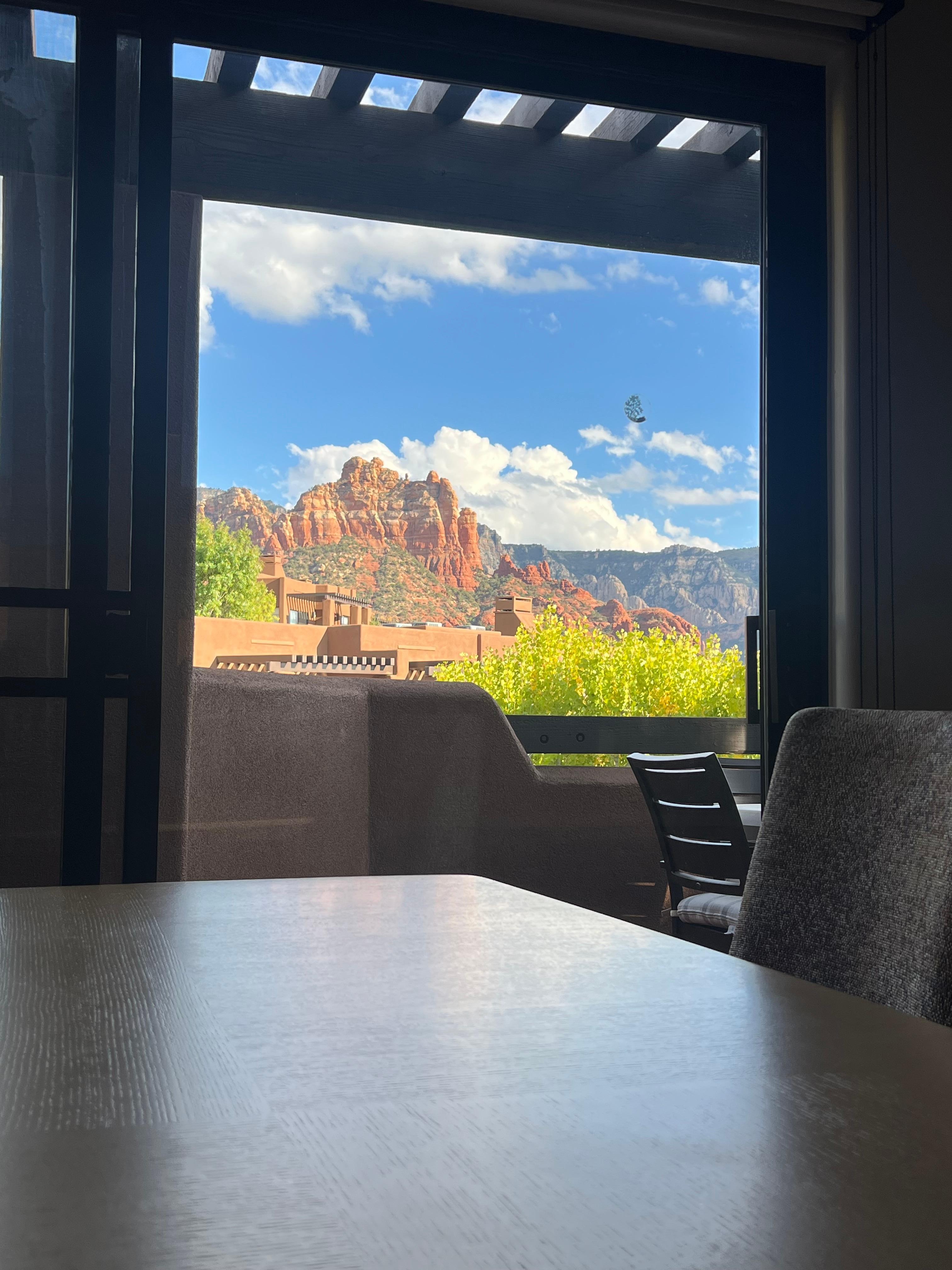 View from dining room table