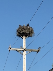 You know you are there when you see the Osprey!
