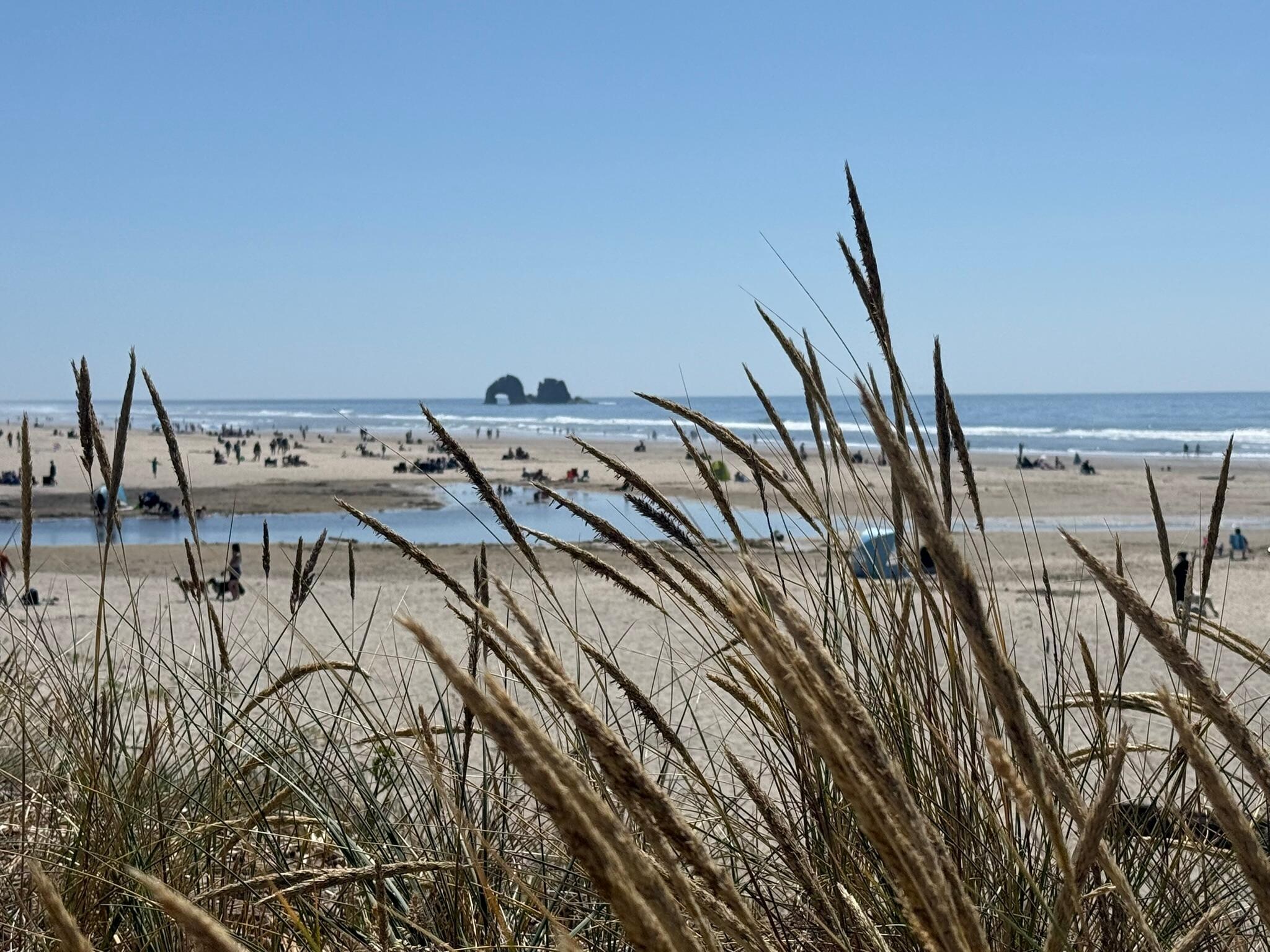 View just a few steps from the patio.