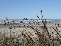 View just a few steps from the patio.