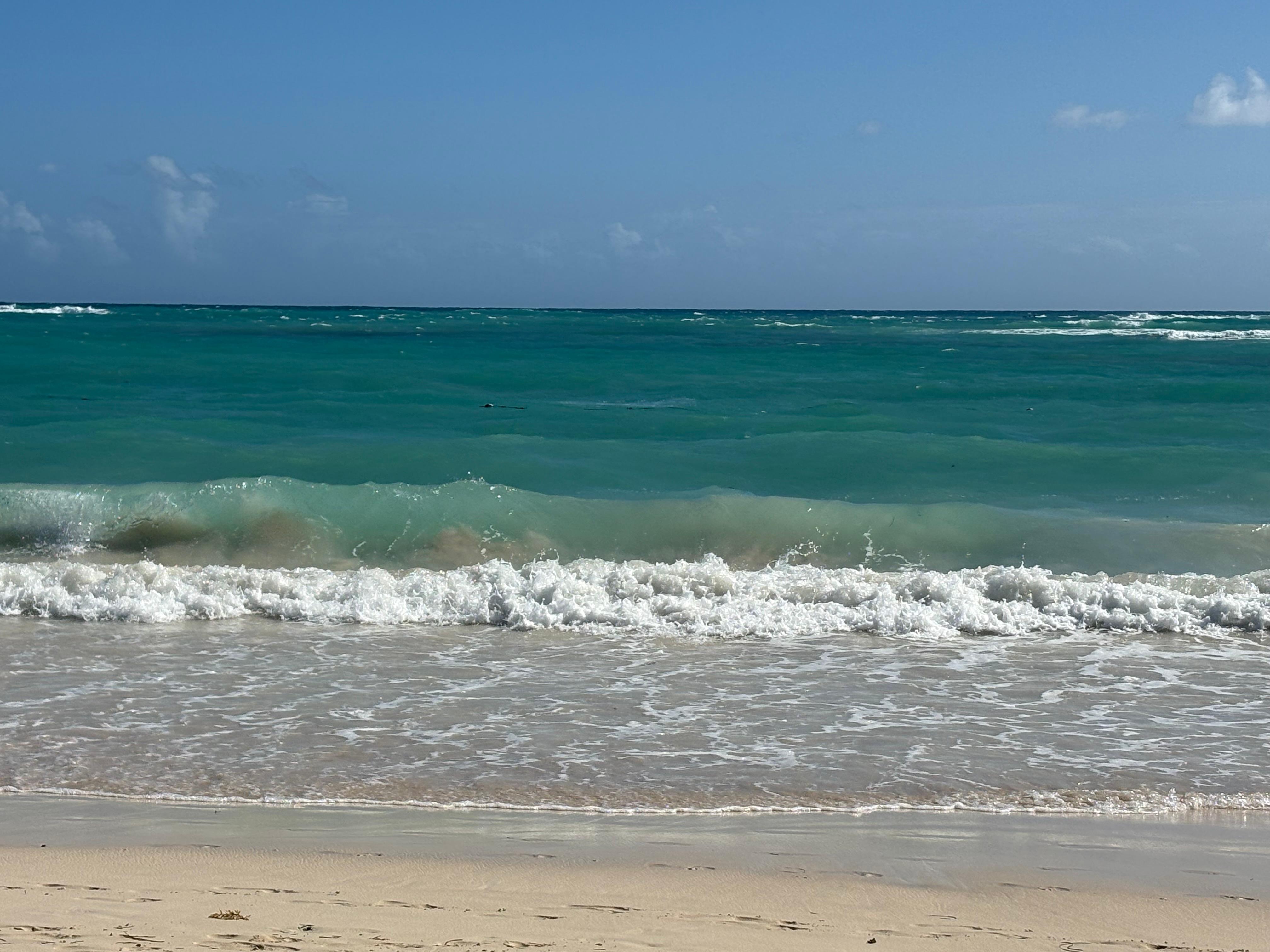 Seriously. Beautiful.