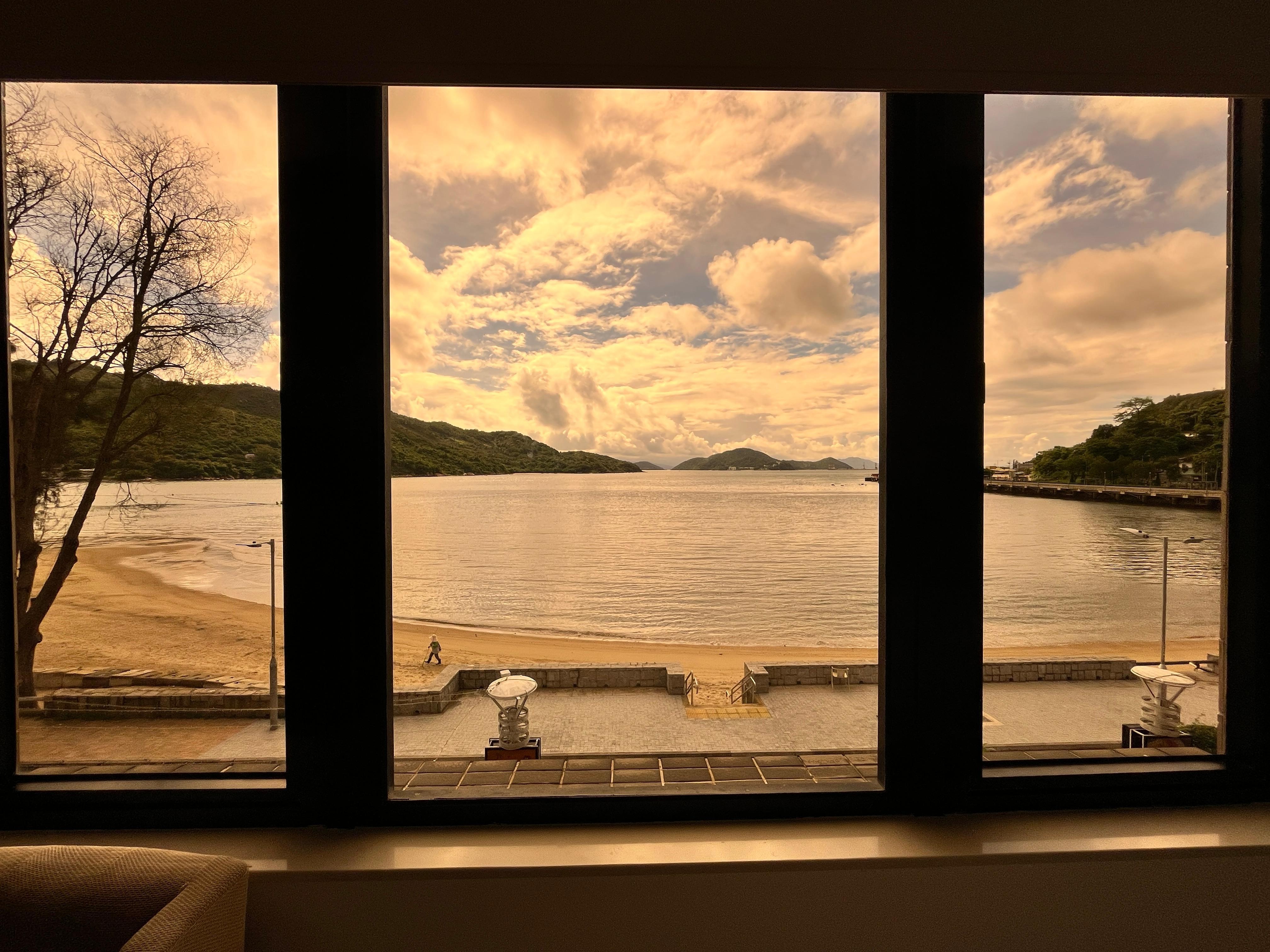 Window view