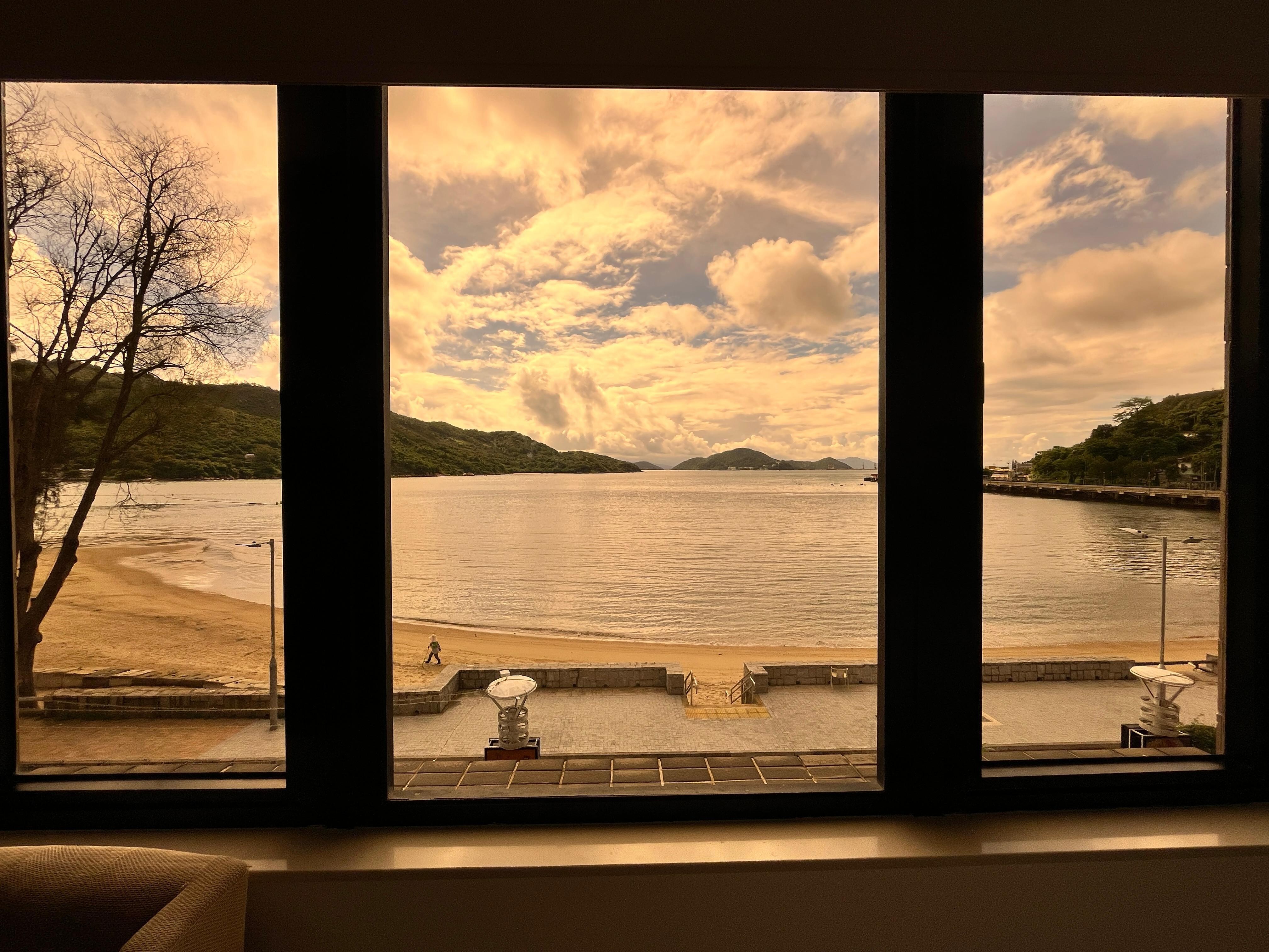 Window view