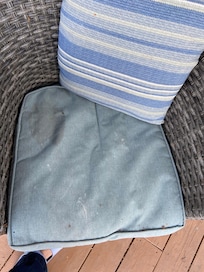 Dirty patio seat cushions.