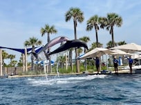Gulfarium!