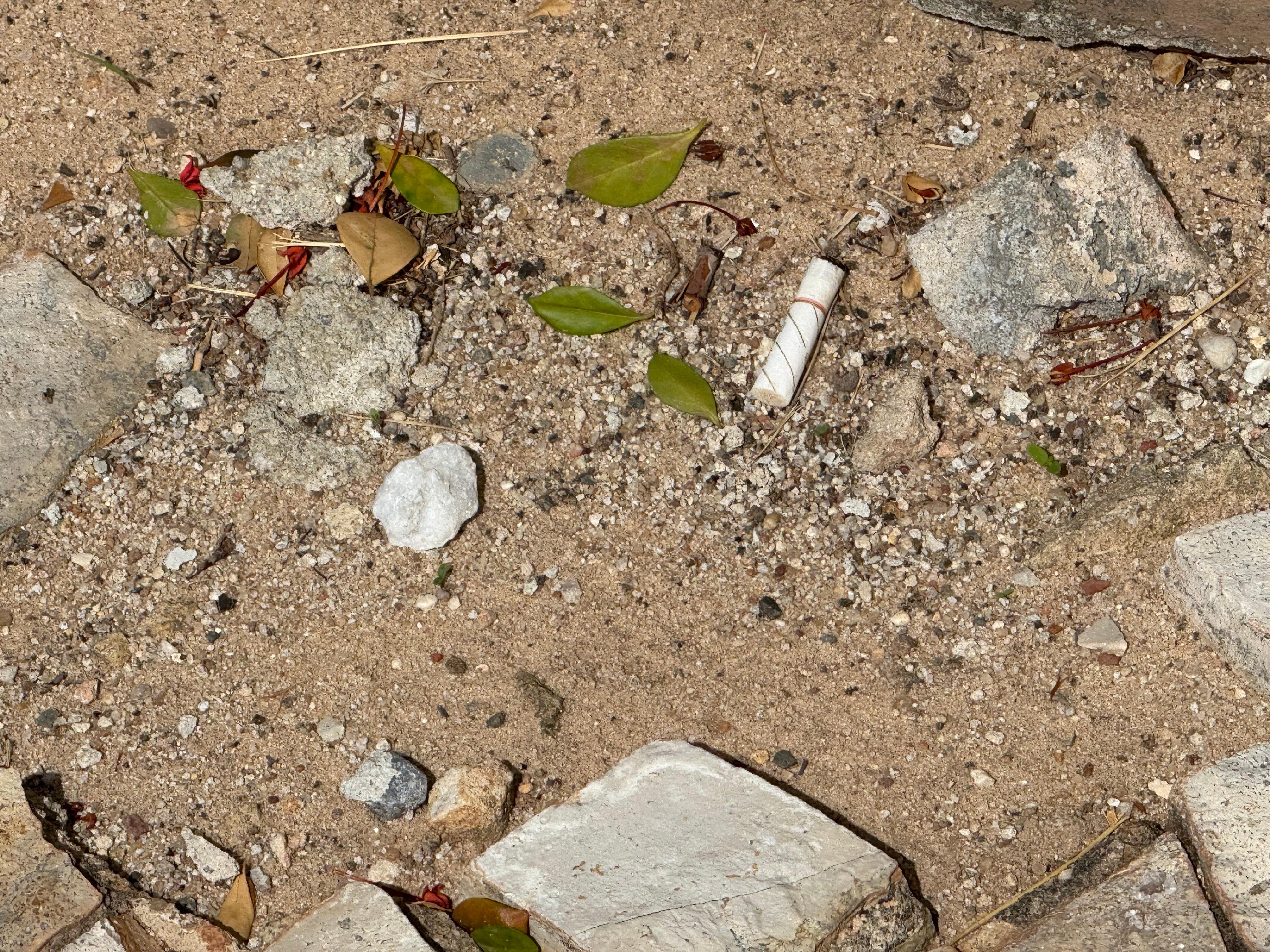 Communal areas accessible to pets