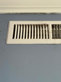 Mold in the vents