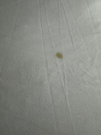 stained sheets