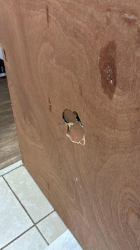 Hole in Door to the bathroom