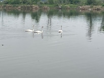 View from the rear deck