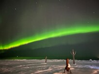 Northern Lights by the Property