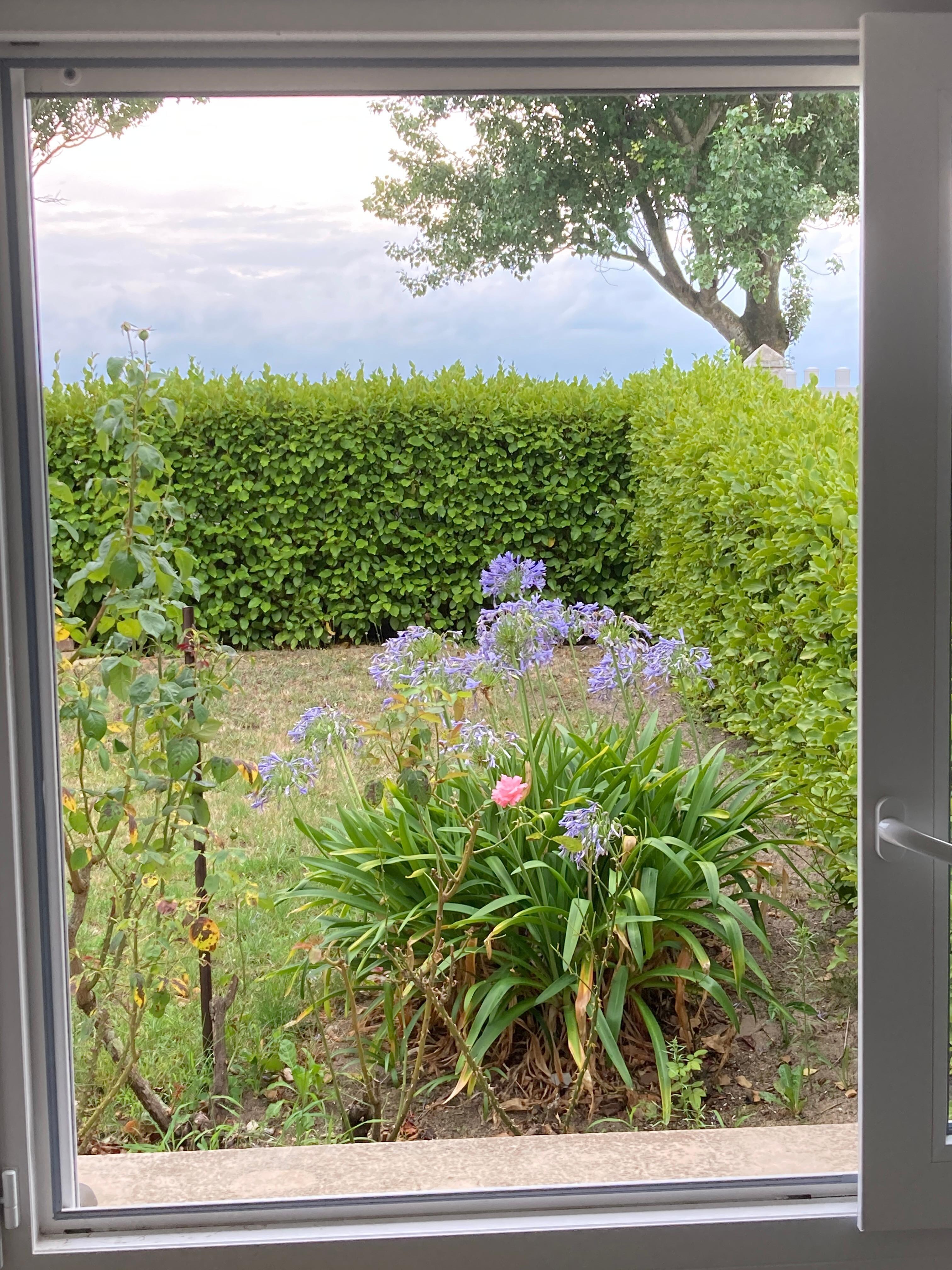 Front garden