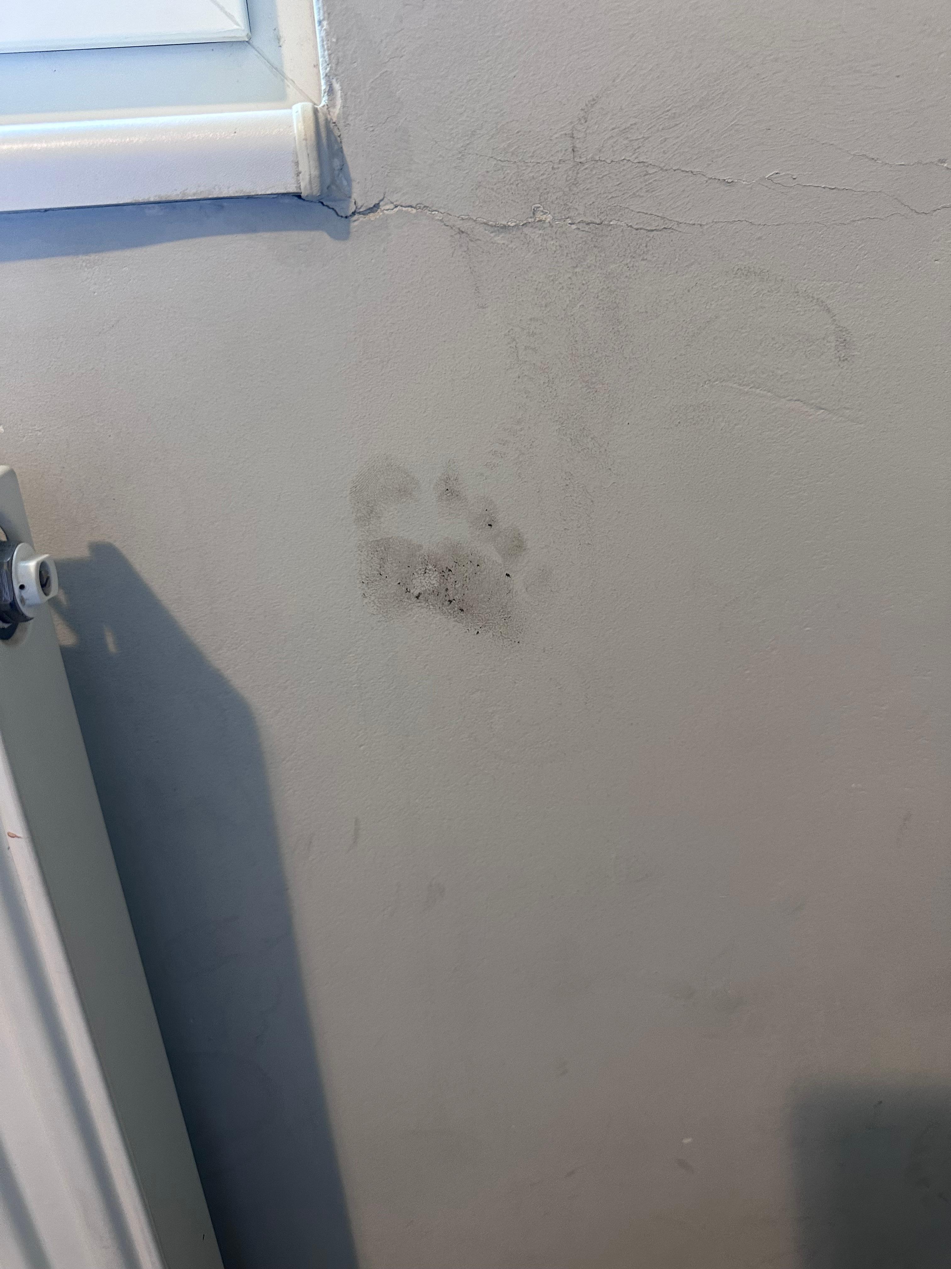 The wall next to the other bed