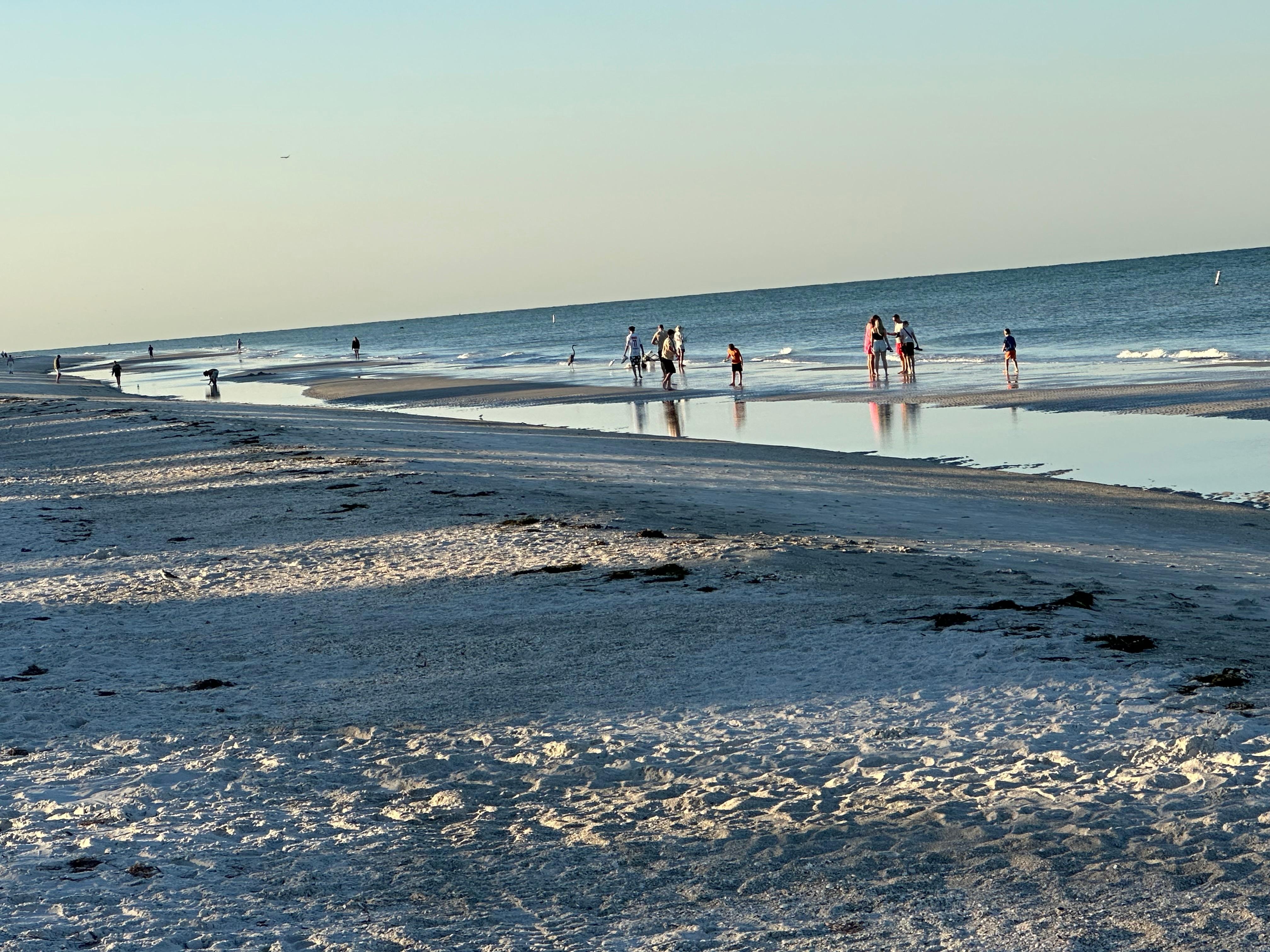 Beach behind unit at low tide.