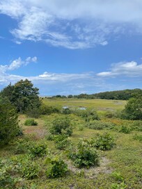 One of the beautiful marshes nearby