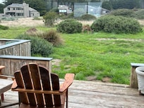Deer grazing off the back deck (reflection is from kitchen windows opposite the deck)